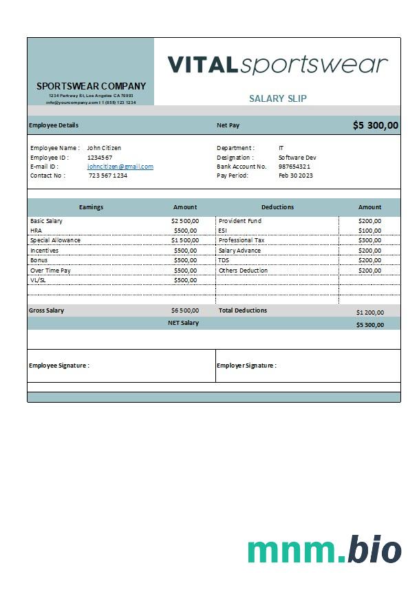 szablon Oświadczenia o zarobkach firmy sportowej w formatach Excel i PDF